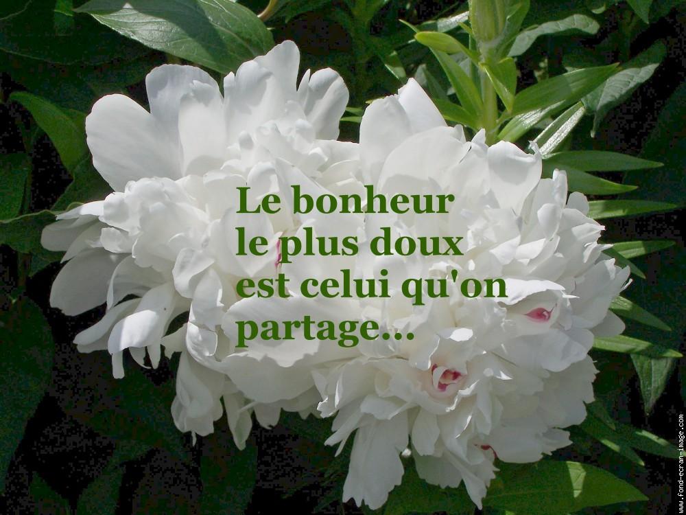 Bonheur